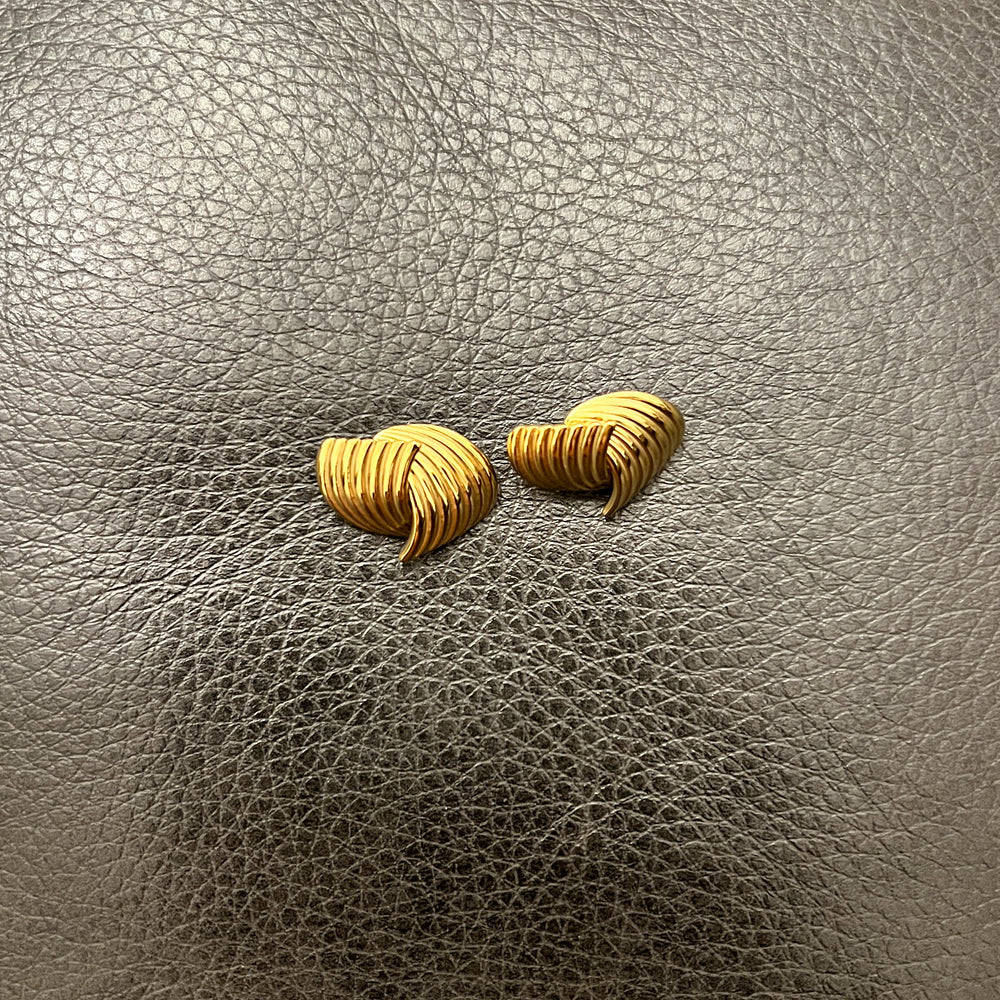 Gemini Stainless Steel Earrings